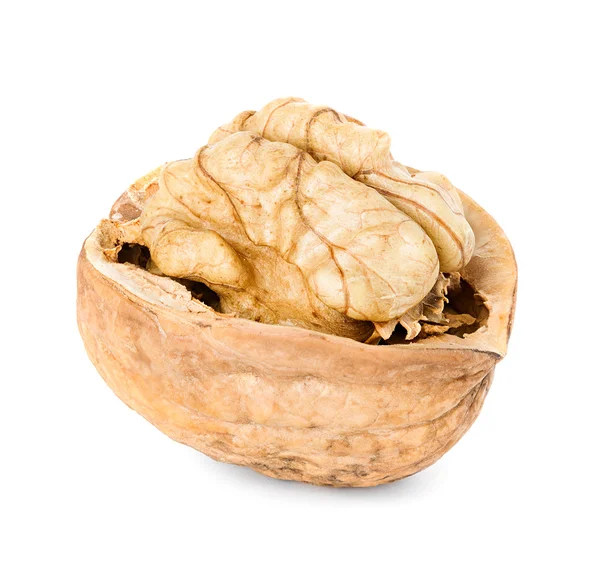 Walnut — Stock fotografie