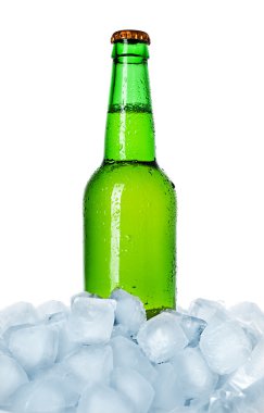 Bir şişe bira.