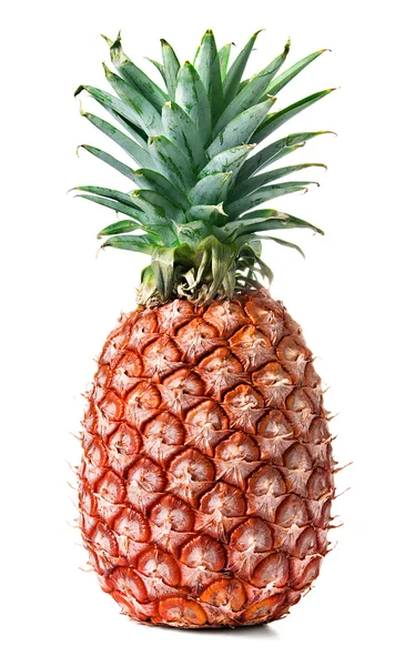 Ananas — Stockfoto