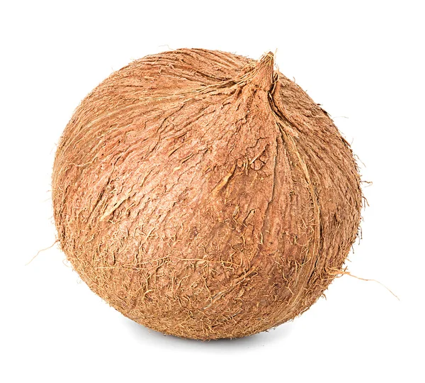 Hindistan cevizi