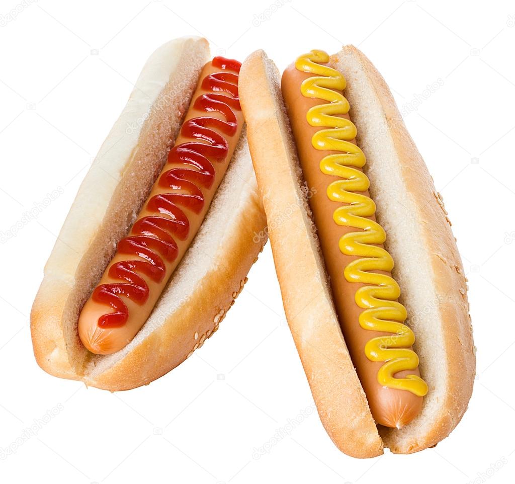 Hot Dog close-up isolated on white background