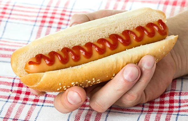 Large hot dog close-up — Stock Photo, Image