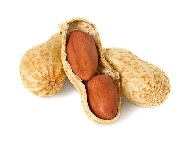 Noccioline — Foto Stock