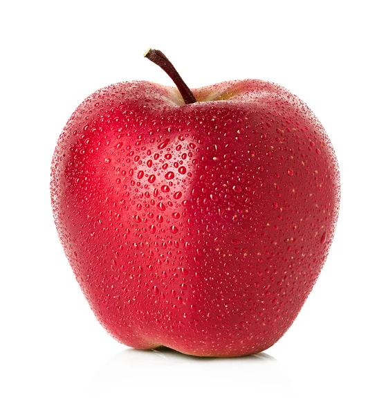 Manzana grande —  Fotos de Stock