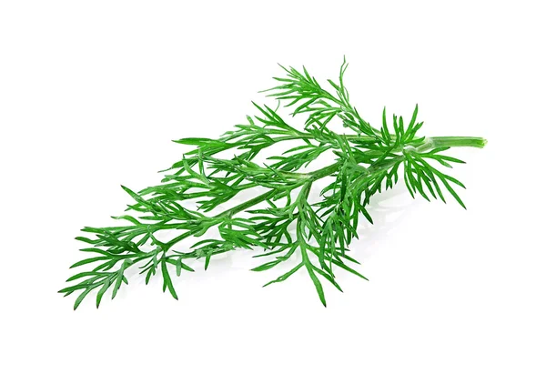 Dill herb isolated on white background — Stock Photo, Image