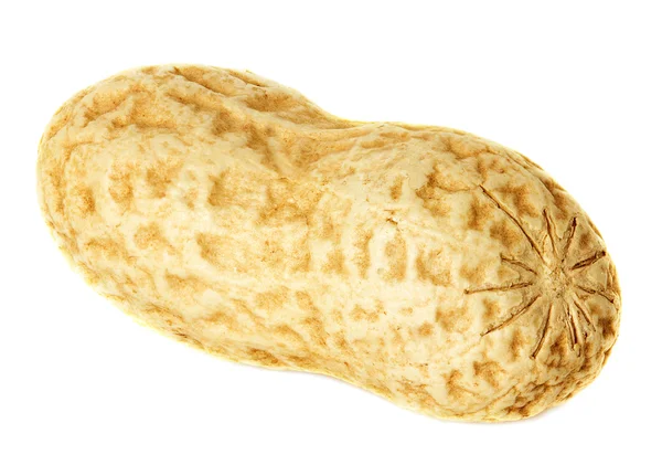 Peanut — Stock Photo, Image