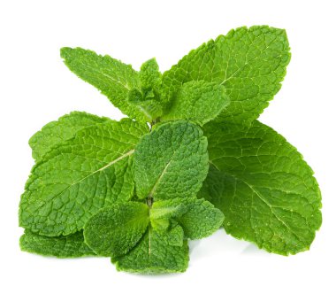 Taze nane üzerinde beyaz izole