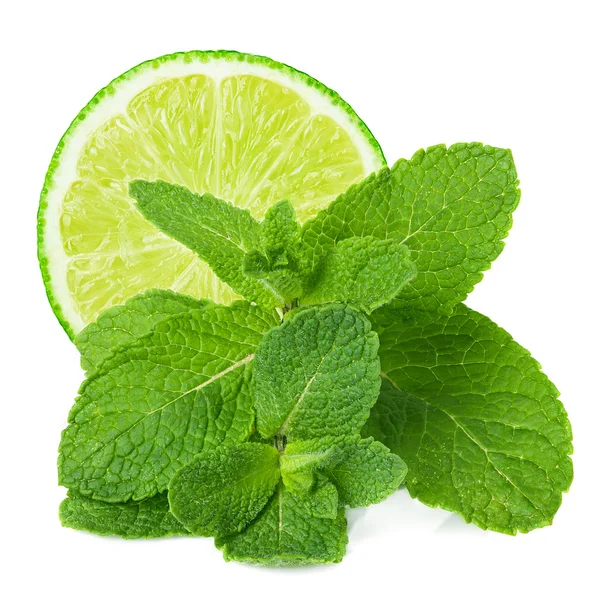 Fresh mint  isolated on white — Stock Photo, Image