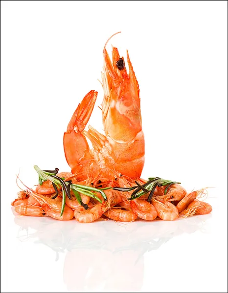 Fresh shrimp — Stock Photo, Image