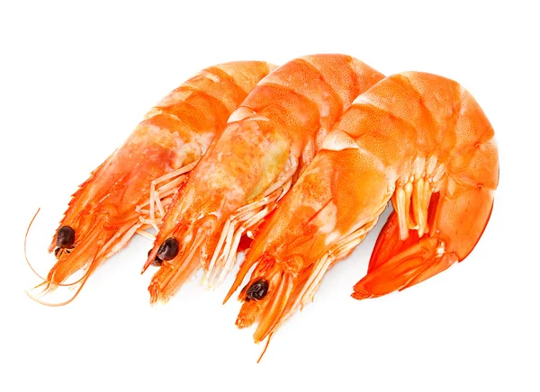 Fresh shrimps — Stock Photo, Image