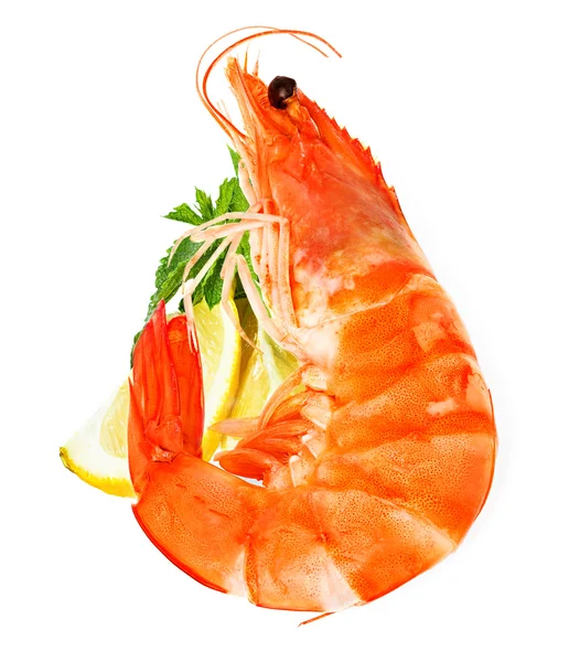 Fresh shrimps — Stock Photo, Image