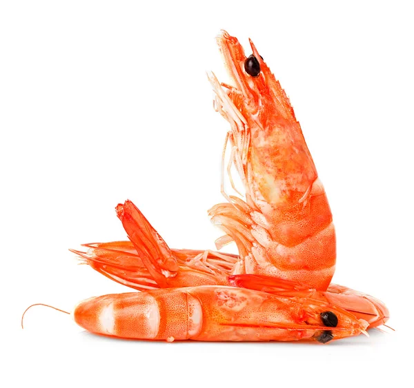 Fresh shrimps — Stock Photo, Image