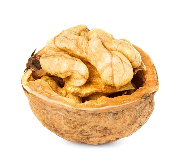 Walnut — Stockfoto