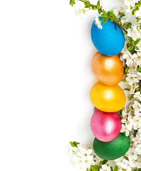 Fondo de Pascua con huevos y flores de primavera, espacio de texto — Foto de Stock