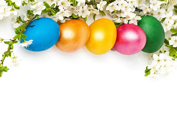 Fondo de Pascua con huevos y flores de primavera, espacio de texto — Foto de Stock