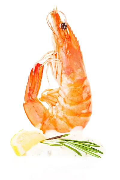 Fresh shrimp — Stock Photo, Image