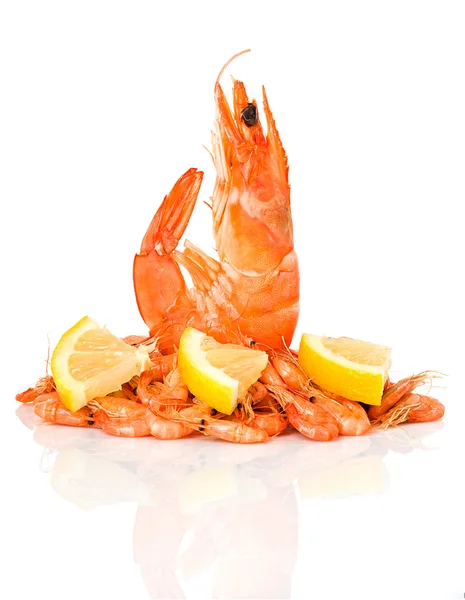 Fresh shrimp — Stock Photo, Image