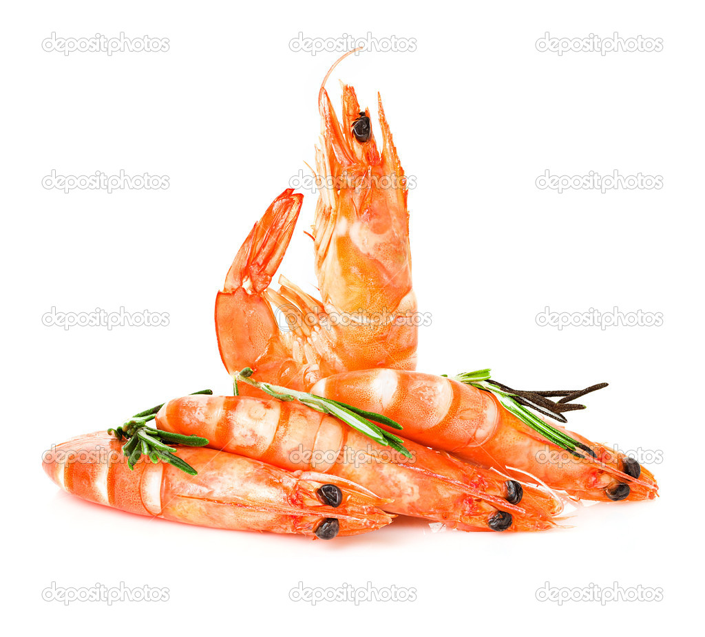 Fresh shrimp