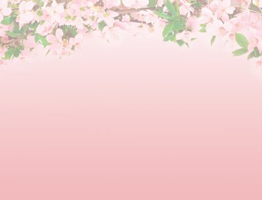 arka plan Apple çiçek şube