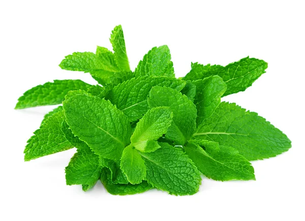 Mint sheaf — Stock Photo, Image