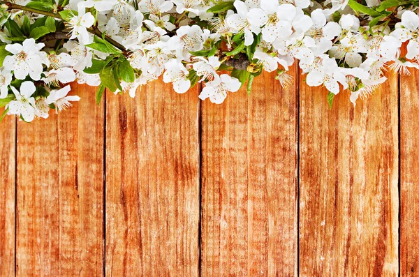 Rama de flores de manzana sobre fondo de madera — Foto de Stock