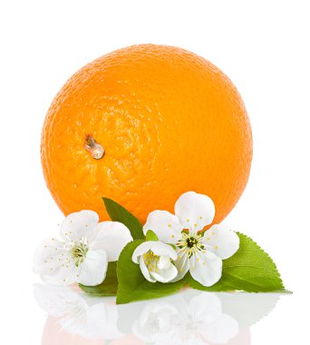 narenciye meyve portakal çiçekleri ve yaprakları izole