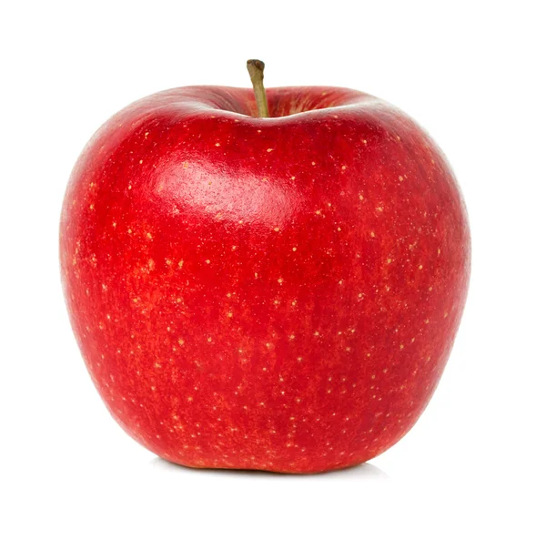Röda mogna äpple — Stockfoto