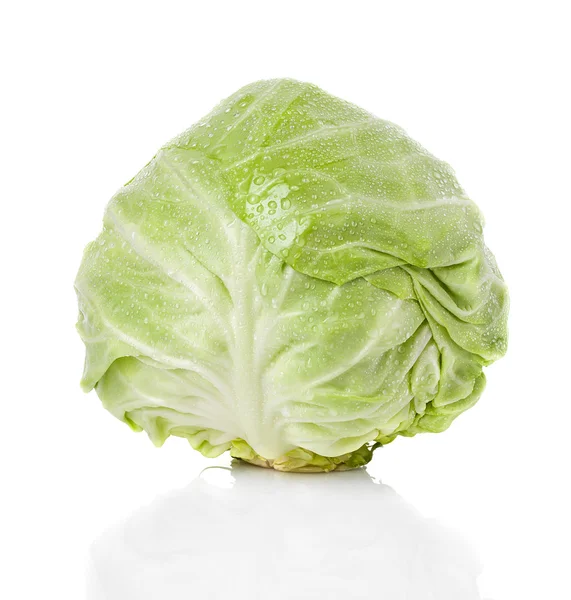 Cabbage isolated — Stock Photo, Image