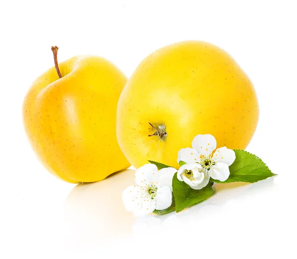 Apples with leaf and flowers isolated — Stock Photo, Image