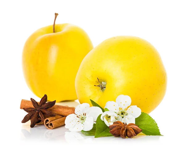 Ripe yellow apple with cinnamon sticks, anise star and apple flowers — Stock Photo, Image