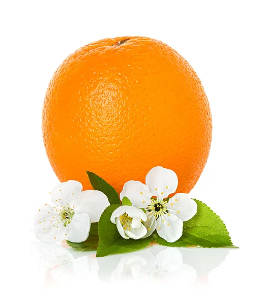 花と分離した葉を持つオレンジ柑橘系の果物 — ストック写真