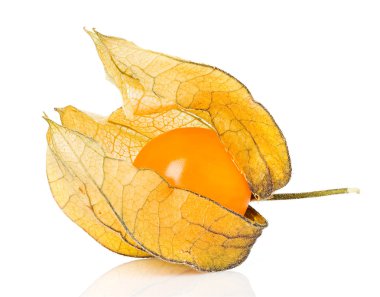 Physalis berry meyve
