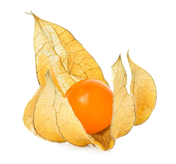 Fruta Physalis berry — Fotografia de Stock
