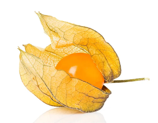 Fruta Physalis berry — Fotografia de Stock