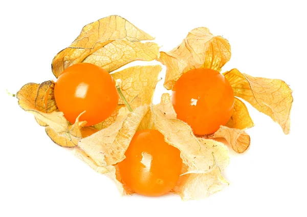 Frutos de physalis isolados sobre fundo branco — Fotografia de Stock