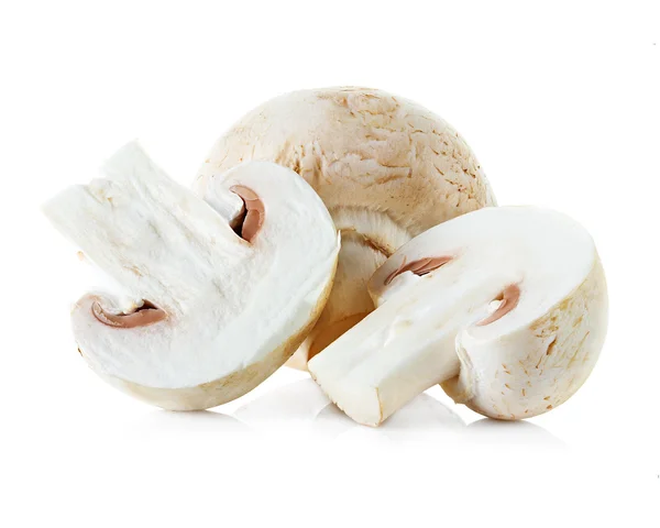 Mushrooms champignons — Stock Photo, Image