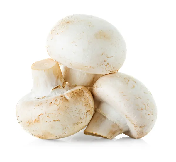 Funghi champignons — Foto Stock