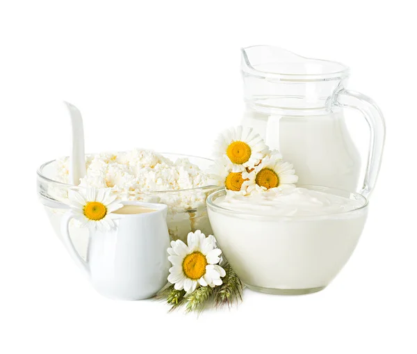 Produtos lácteos. Leite, creme, creme de leite e queijo cottage — Fotografia de Stock