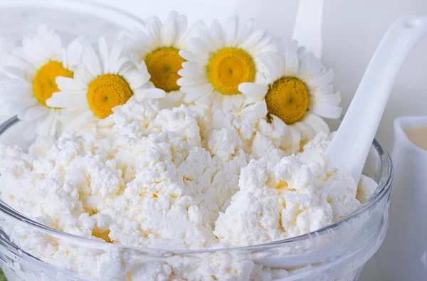 Curd and flower camomile — Stock Photo, Image