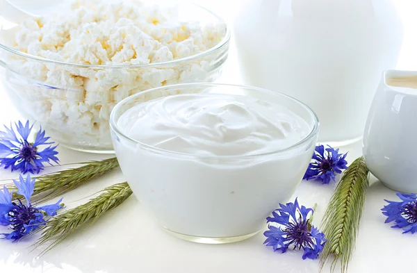 Productos lácteos. Leche, nata, crema agria y requesón — Foto de Stock