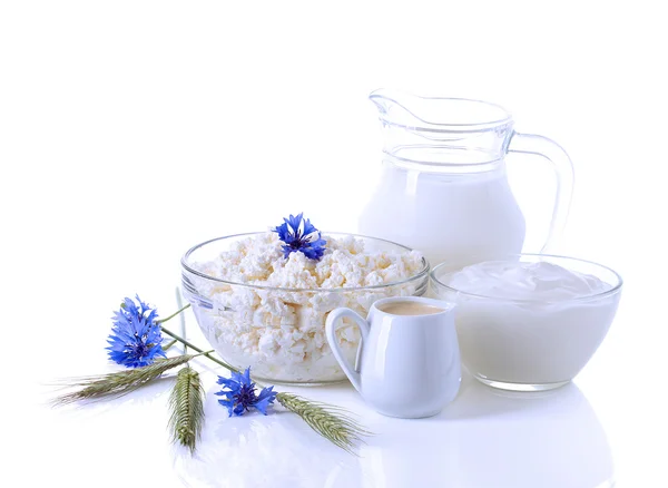 Dairy Products. Milk, cream, sour cream and cottage cheese — Stock Photo, Image