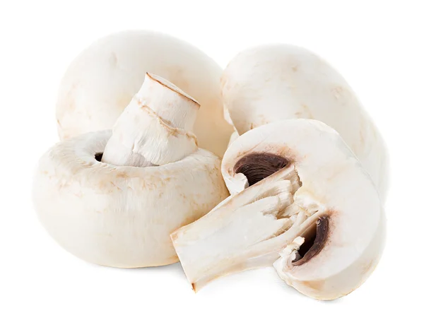 Mushrooms — Stock Photo, Image