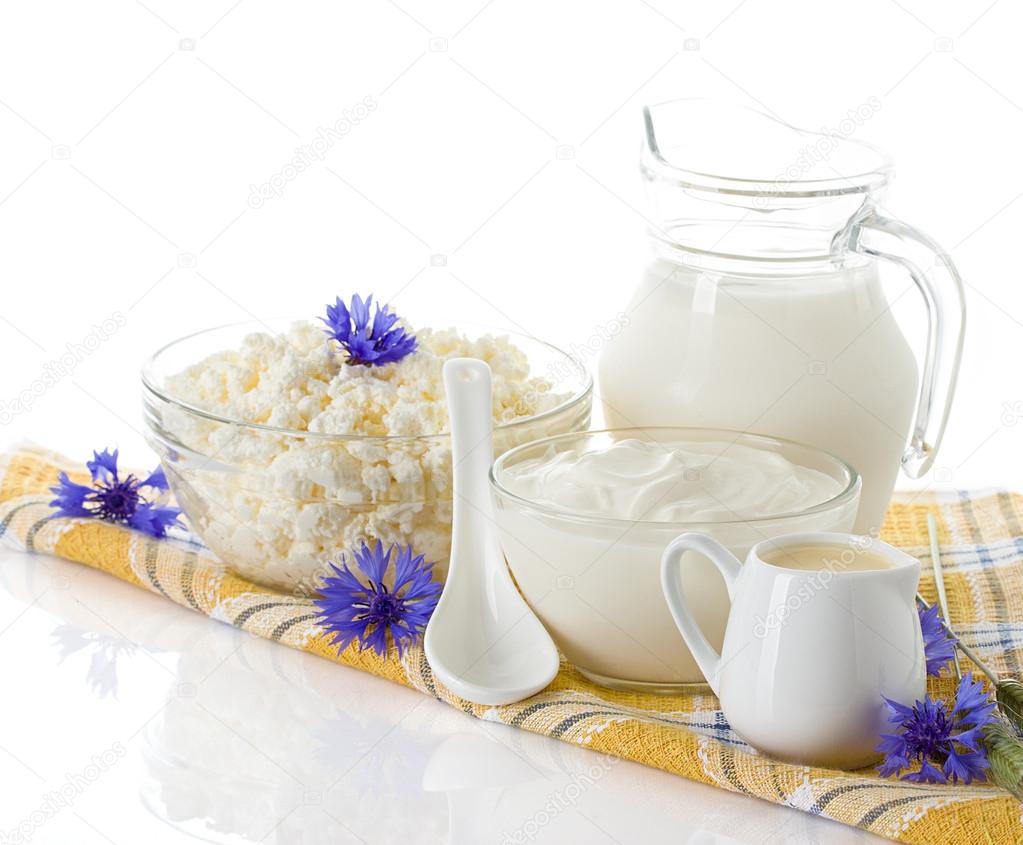 Dairy Products. Milk, cream, sour cream and cottage cheese — Stock