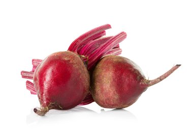 taze pancar kökü izole edildi