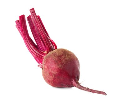 taze pancar kökü izole edildi