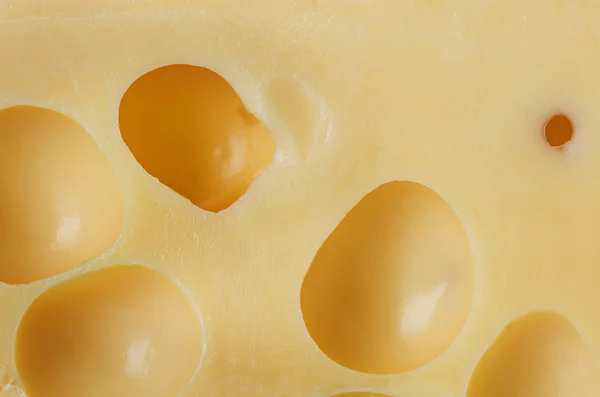 Cheese, background — Stock Photo, Image