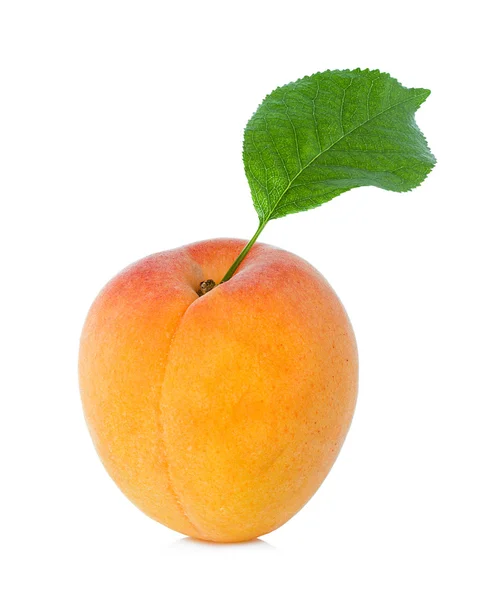 Mogen aprikos frukt isolerad på vit bakgrund — Stockfoto