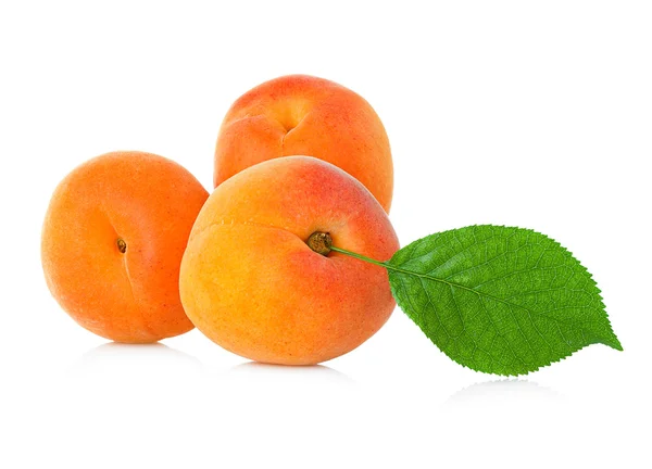 Apricots isolated on white — Stock Photo, Image