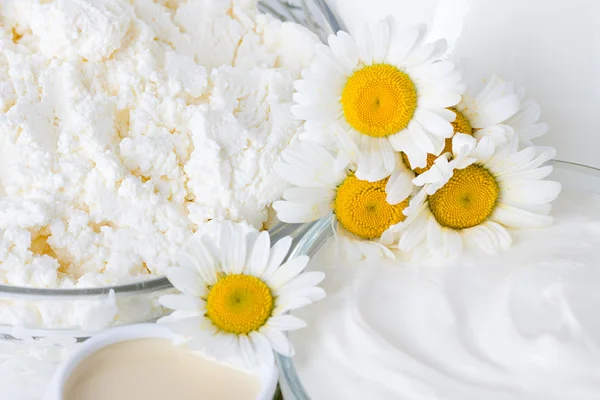 Produtos lácteos. Leite, creme, creme de leite e queijo cottage — Fotografia de Stock