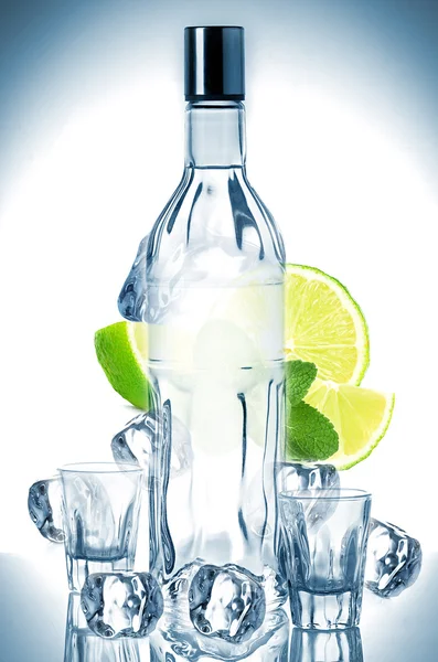 Botella de vodka y hielo — Foto de Stock